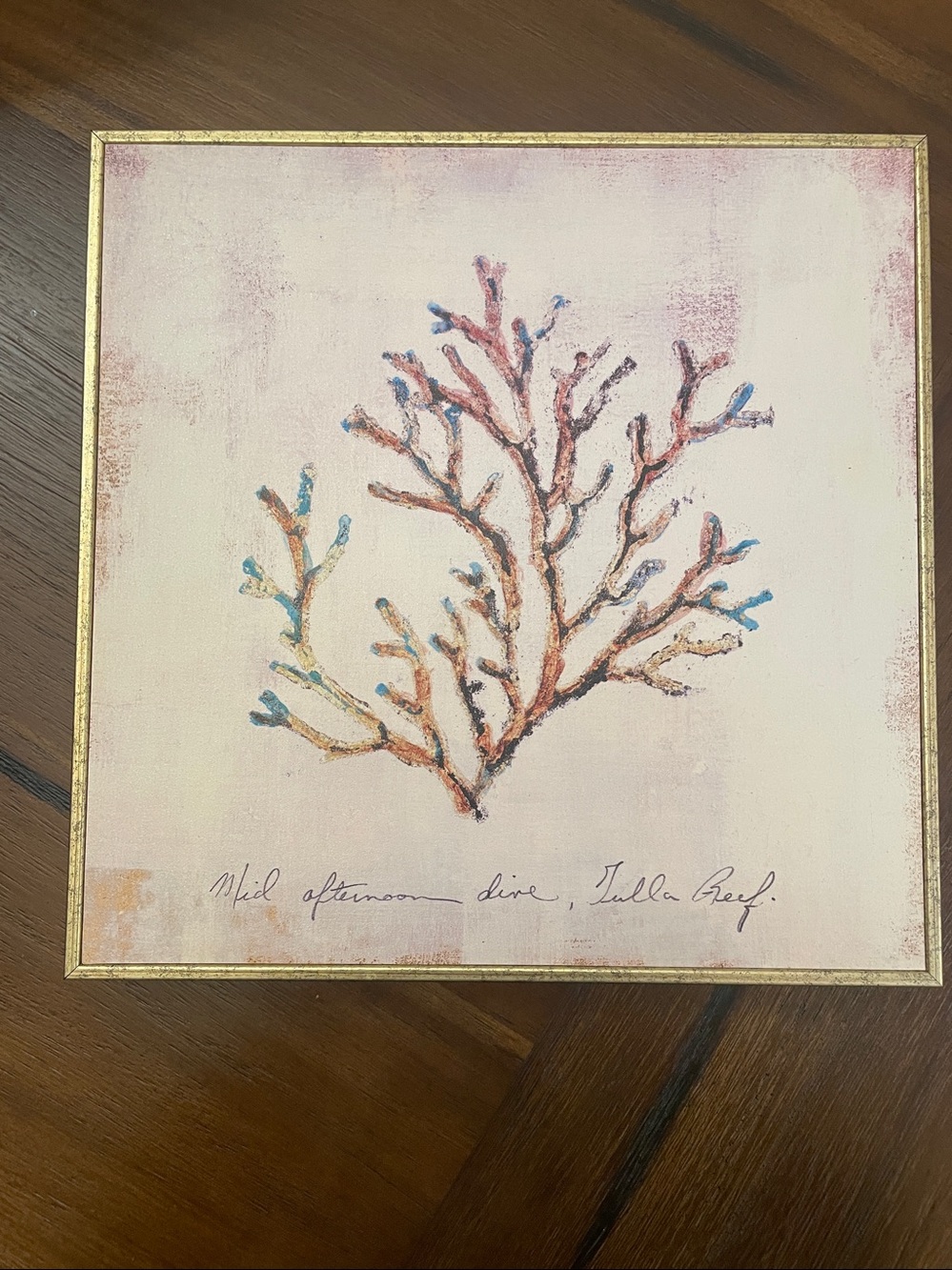 Pier 1 Coral Glicee Framed Art